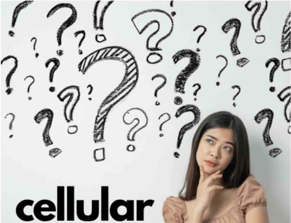 cellular router FAQ