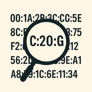 MAC Address Spoofing (Cloning) Explained: How It Works, Real-World Uses, and Step-by-Step Setup on Peplink, Teltonika, and Sierra Wireless Routers 2 MAC address Cloning or Spoofing