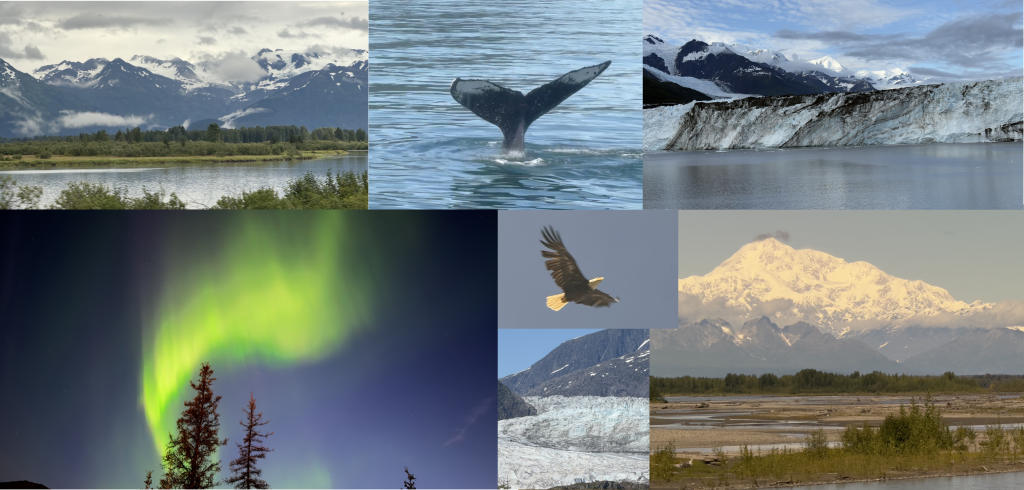 Alaska Cruise Connectivity 2025: Verizon vs AT&T vs T-Mobile vs Starlink Wi-Fi 8 Screenshot 2025 08 18 at 8.13.16 PM 1