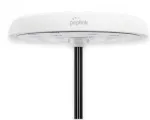 Pepwave Mobility 82G (8xCell,2x WiFi,1xGPS) - White - SMA - 6.5ft - Pepwave Mobility 82G Straight