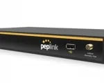 Peplink Balance 20X with Cat 4 LTE Advanced Modem - Alternate View